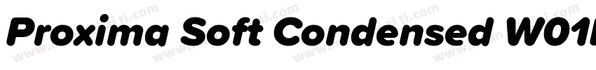 Proxima Soft Condensed W01BlkIt字体转换
